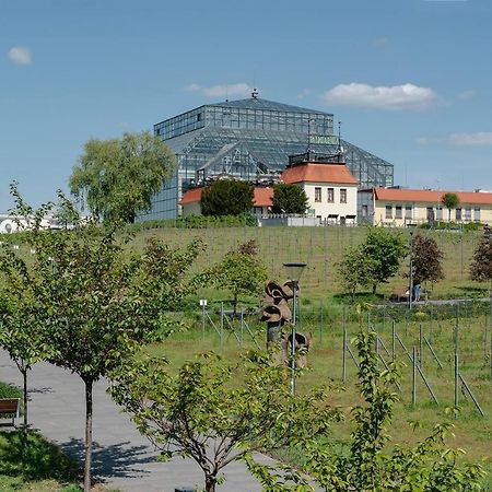 W12 Home Station - Apartement Greenpink Zielona Góra Eksteriør billede